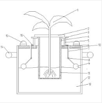 一种实验室内营养液花生培育装置及其使用方法